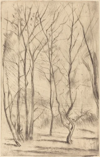The Dam Wood by James McNeill Whistler, print, 1875