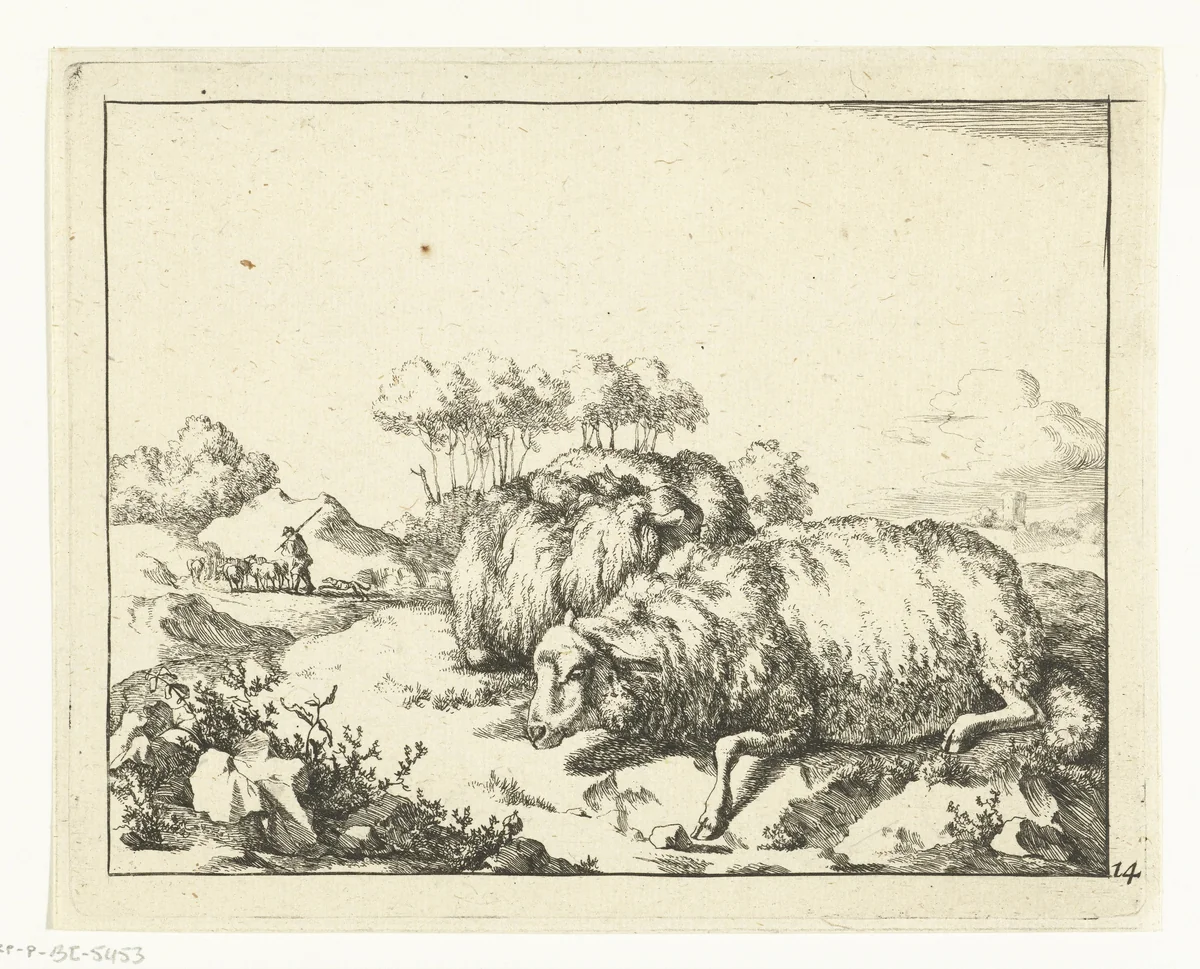 Twee schapen, liggend, met herder op achtergrond by Marcus de Bye, print, 1664