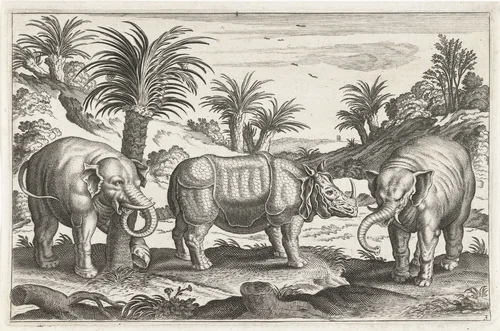 Olifanten en neushoorn by anonymous, print, 1628-1679