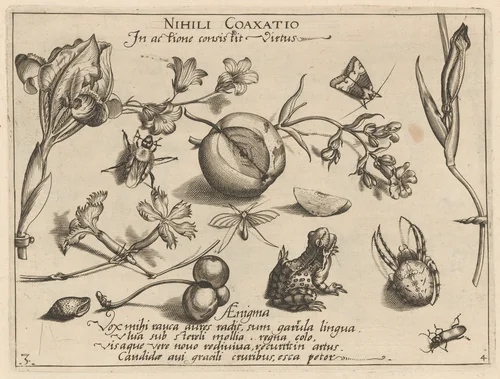 Archetypa studiaque patris Georgii Hoefnagelii [Part 4, Plate 3] by Jacob Hoefnagel; Joris Hoefnagel, print, 1592