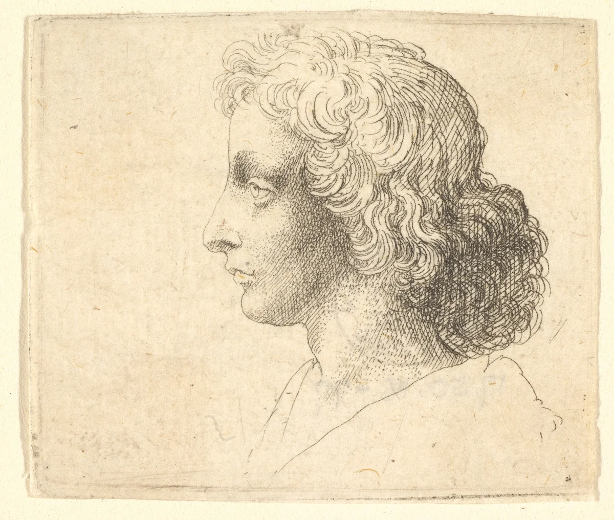 Head of young man with long hair in profile to the left by Wenceslaus Hollar, print, 1644-1652