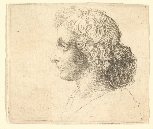 Head of young man with long hair in profile to the left by Wenceslaus Hollar, print, 1644-1652