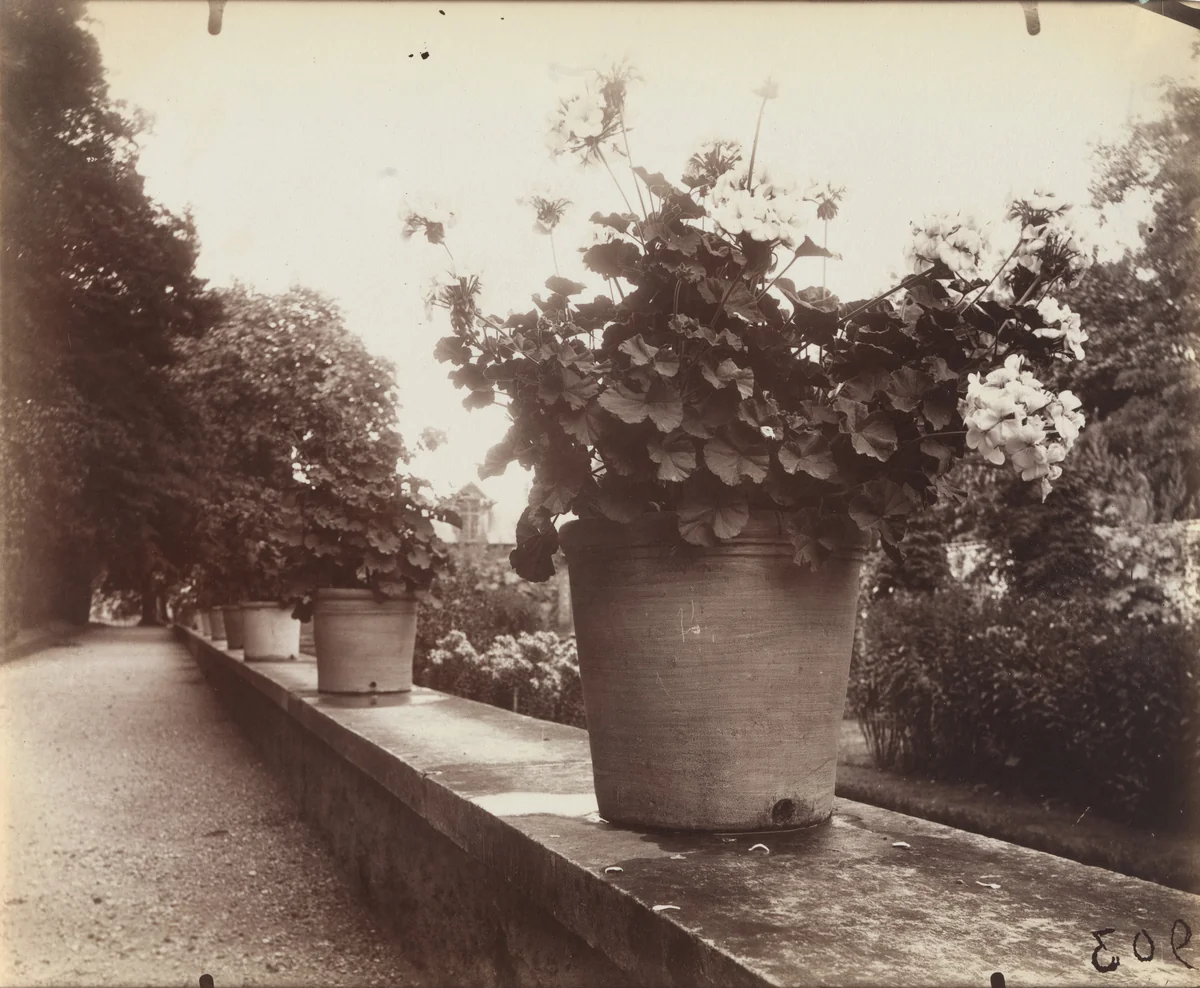 Bagatelle by Eugène Atget, photograph, 1919
