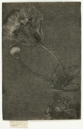 Poppy in a Vase by Theodore Roussel, print, 1890-1895