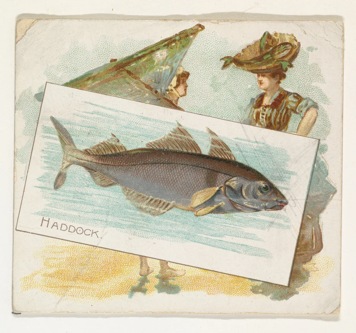 Haddock, from Fish from American Waters series (N39) for Allen & Ginter Cigarettes by Allen & Ginter, print, 1889