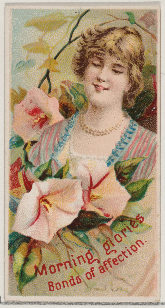 Morning Glories: Bonds of Affection, from the series Floral Beauties and Language of Flowers (N75) for Duke brand cigarettes by American Tobacco Company, print, 1892