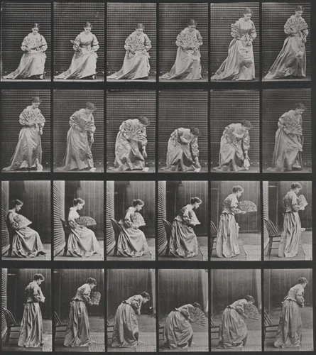 Plate Number 250. Rising from chair, stooping and lifting handkerchief by Eadweard Muybridge, photograph, 1887