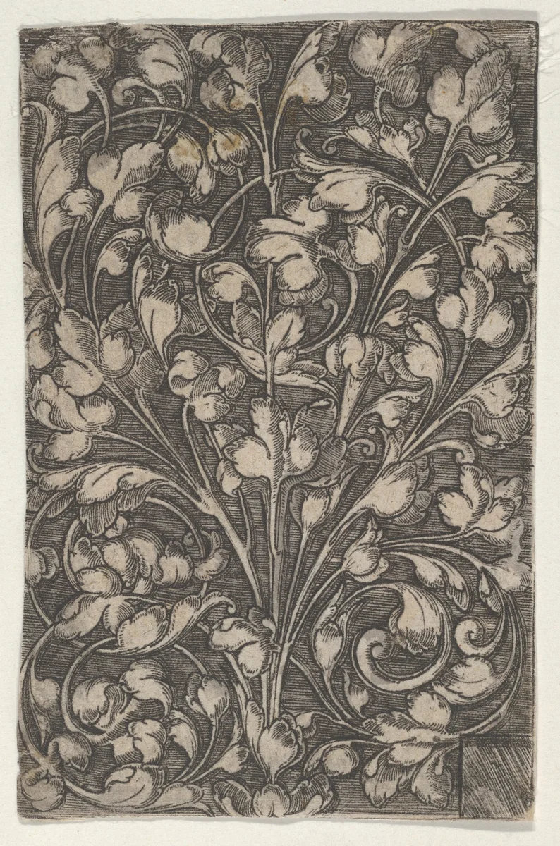 Vertical Panel with Scrolling Tendrils Rising from Center by Heinrich Aldegrever, print, 1517-1561