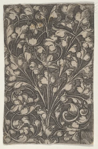 Vertical Panel with Scrolling Tendrils Rising from Center by Heinrich Aldegrever, print, 1517-1561