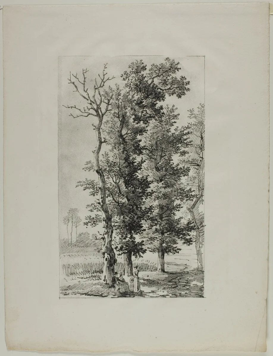 Study of Trees by Louis Pierre Baltard, print, 1812-1822