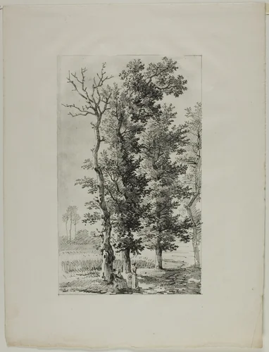 Study of Trees by Louis Pierre Baltard, print, 1812-1822