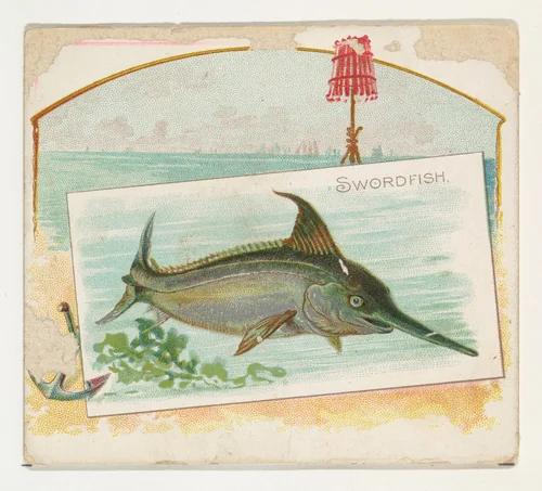 Swordfish, from Fish from American Waters series (N39) for Allen & Ginter Cigarettes by Allen & Ginter, print, 1889