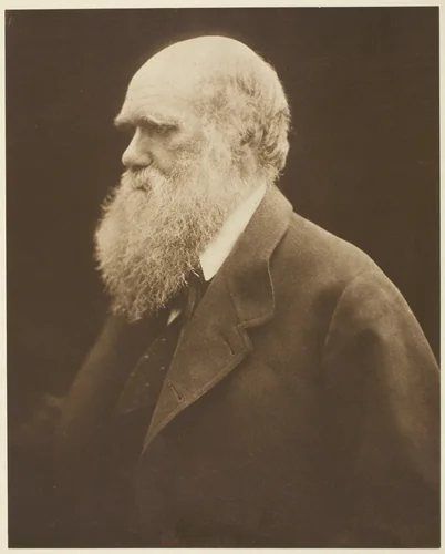 Charles Darwin by Julia Margaret Cameron, print, 1863-1873