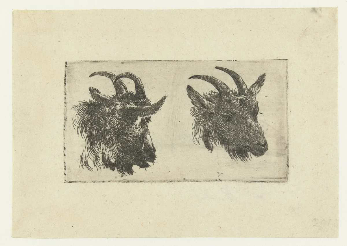 Twee koppen van geiten by Nicolaes Pietersz Berchem, print, 1630-1683