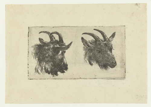 Twee koppen van geiten by Nicolaes Pietersz Berchem, print, 1630-1683