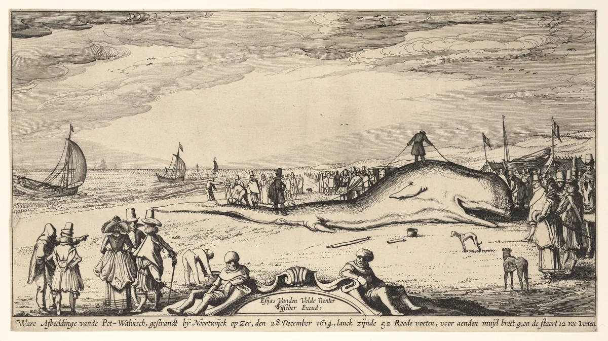 Beached Sperm Whale at Noordwijk, 28 December 1614 by Esaias van de Velde, print, 1609-1619
