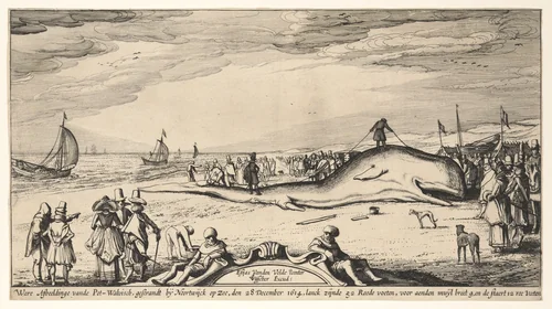 Beached Sperm Whale at Noordwijk, 28 December 1614 by Esaias van de Velde, print, 1609-1619