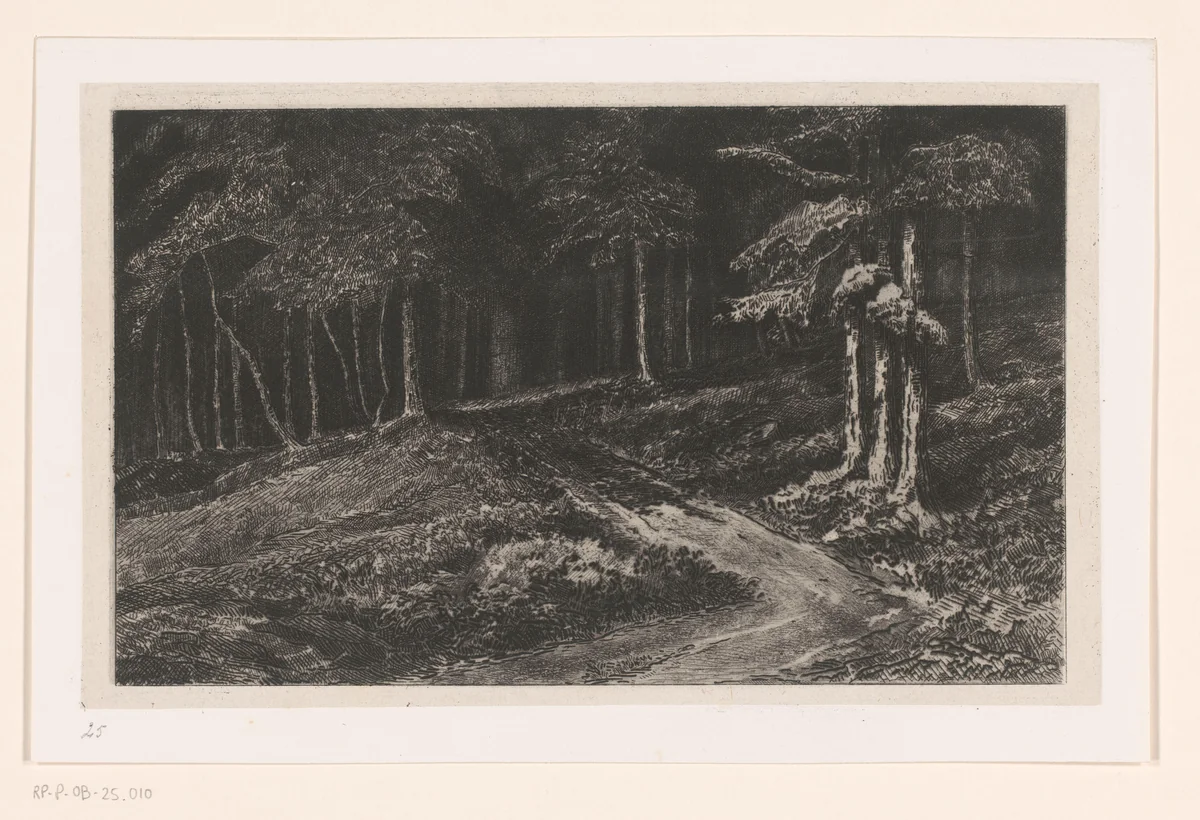 Bosrand bij Kelheim by Carel Nicolaas Storm van 's-Gravesande, print, 1872