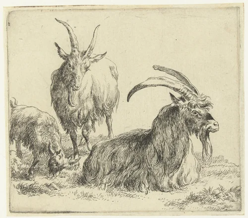 Liggende bok en geit met bokje by Nicolaes Pietersz Berchem, print, 1648-1652