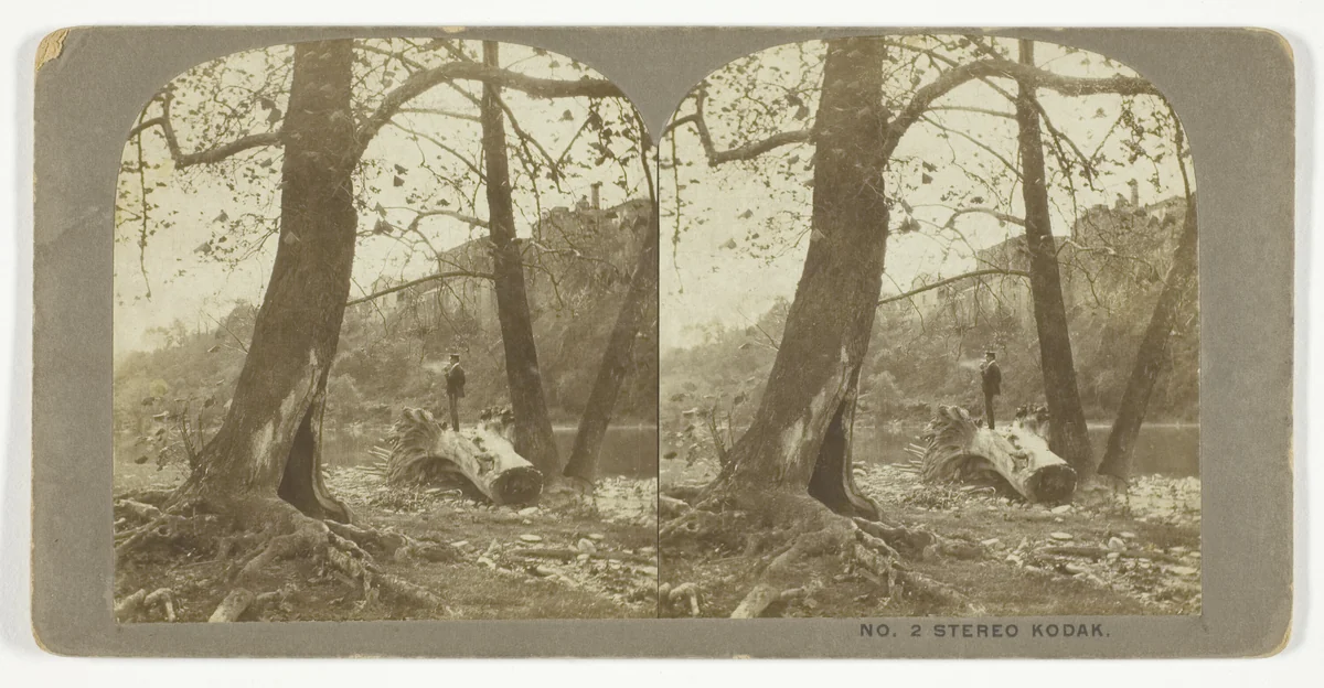 Stereo Kodak by London Stereoscopic Company, photograph, 1875-1899