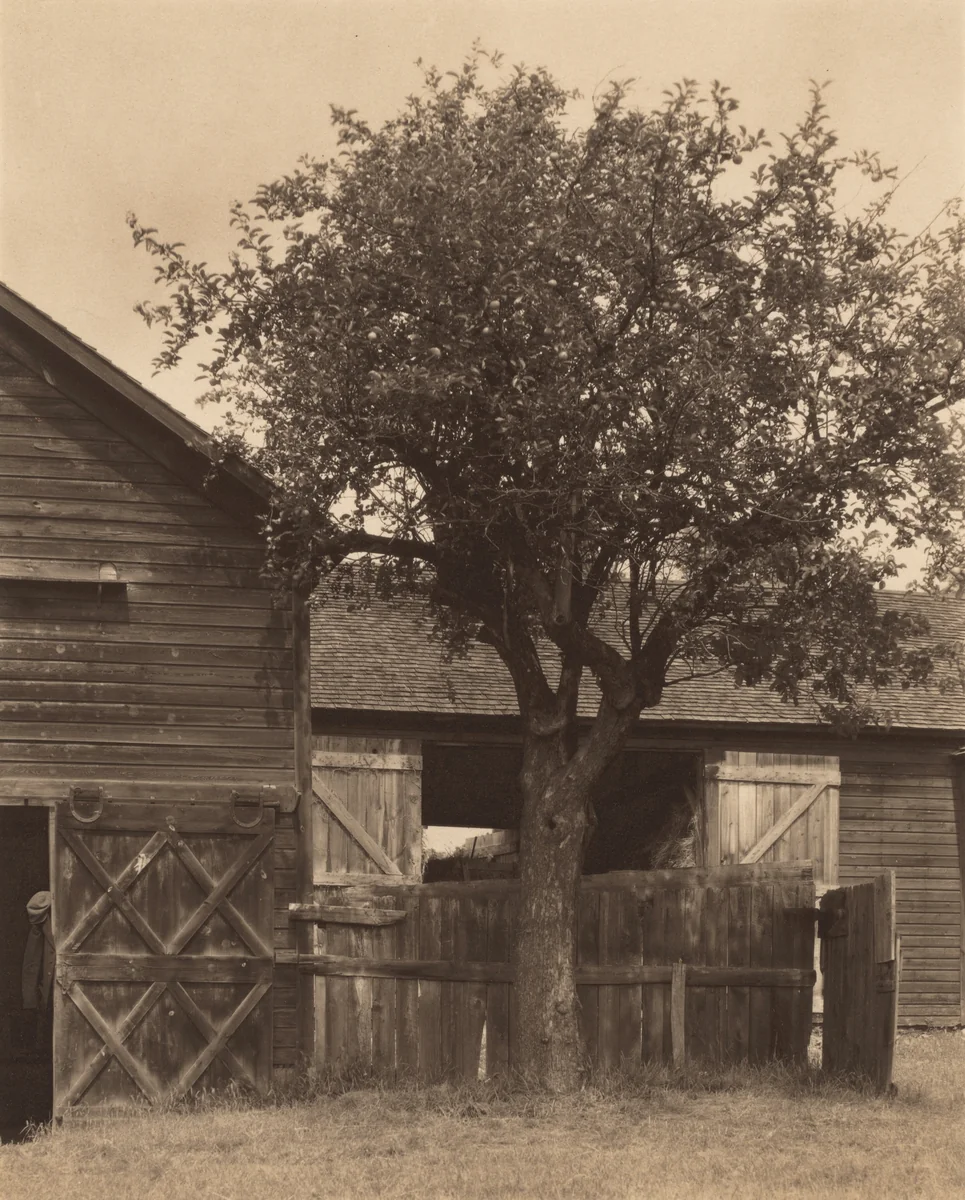 The Barn by Alfred Stieglitz, photograph, 1922