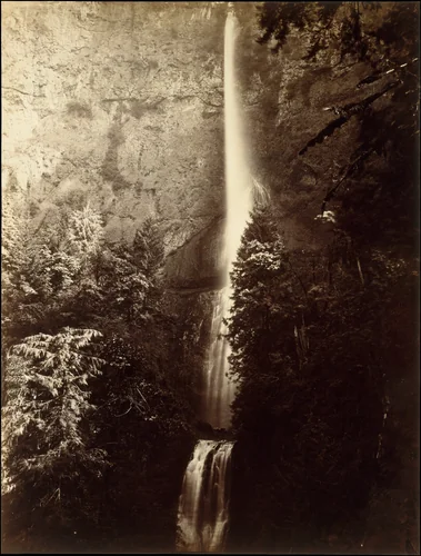 Multnomah Falls Cascade, Columbia River by Carleton E. Watkins, photograph, 1867