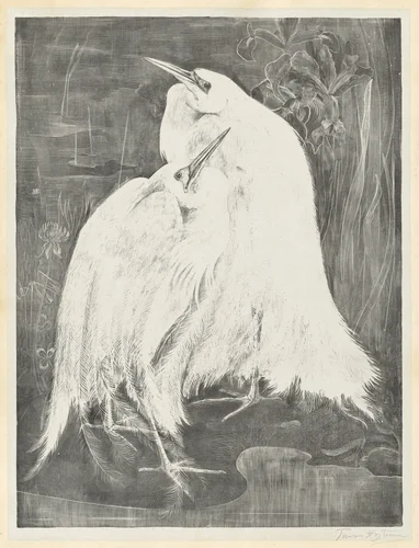 Two White Egrets by Theodoor van Hoijtema, print, 1898