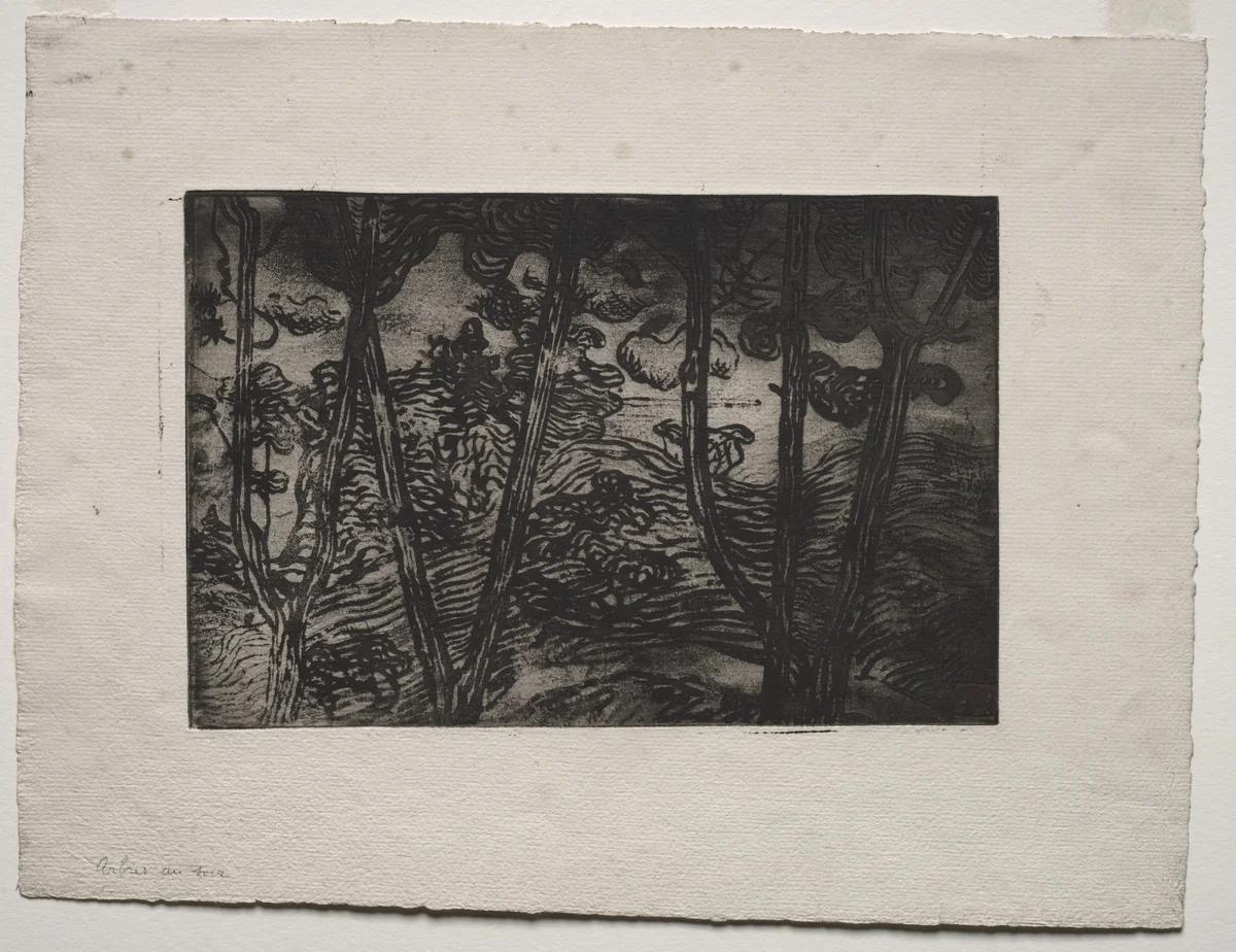 Trees at Night by Armand Séguin, print, 1889-1899