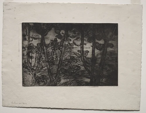 Trees at Night by Armand Séguin, print, 1889-1899