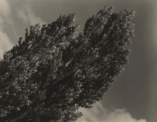 Equivalent by Alfred Stieglitz, photograph, 1927