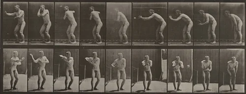 Plate Number 281. Baseball, catching and throwing by Eadweard Muybridge, photograph, 1887