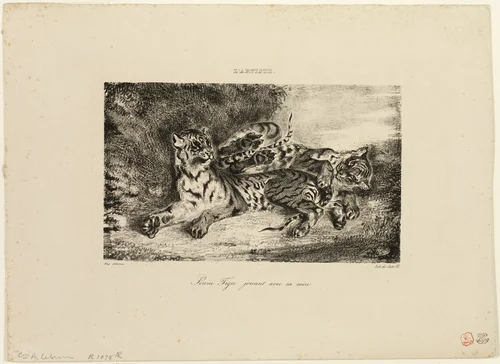 Young Tiger Playing with Its Mother by Eugène Delacroix, print, 1831
