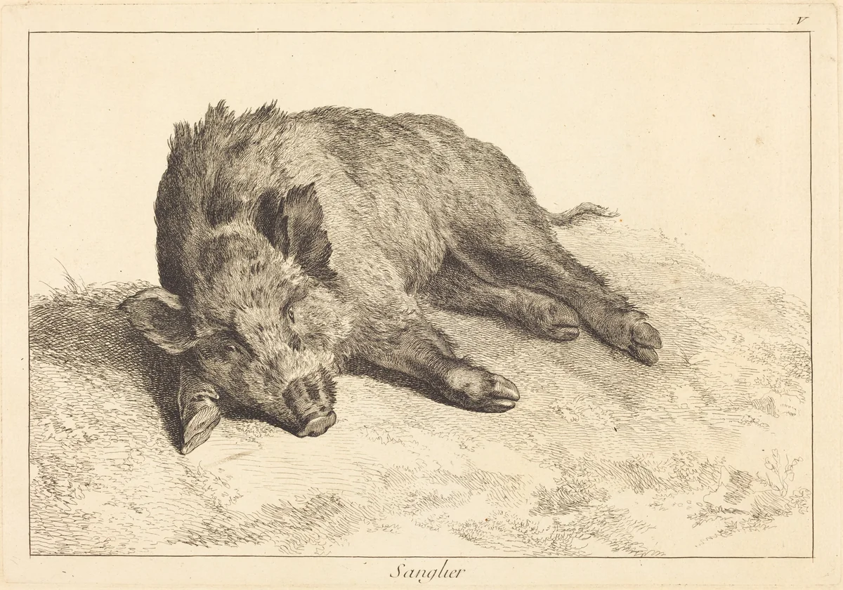 Sanglier (Wild Boar Lying Down, Head to the Left) by Jean Eric Rehn; Jacques-Philippe Le Bas; Jean-Baptiste Oudry, print, 1707-1783