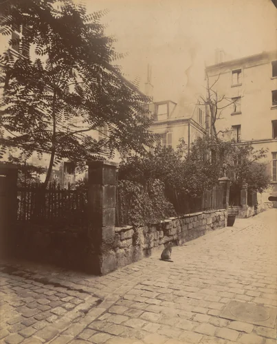 Ancienne demeure des frères de la Doctrine Chrétienne, 77 rue du Cardinal-Lemoine by Eugène Atget, photograph, 1910