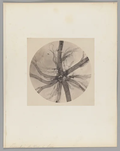 [Untitled] by Auguste-Adolphe Bertsch, photograph, 1853-1857