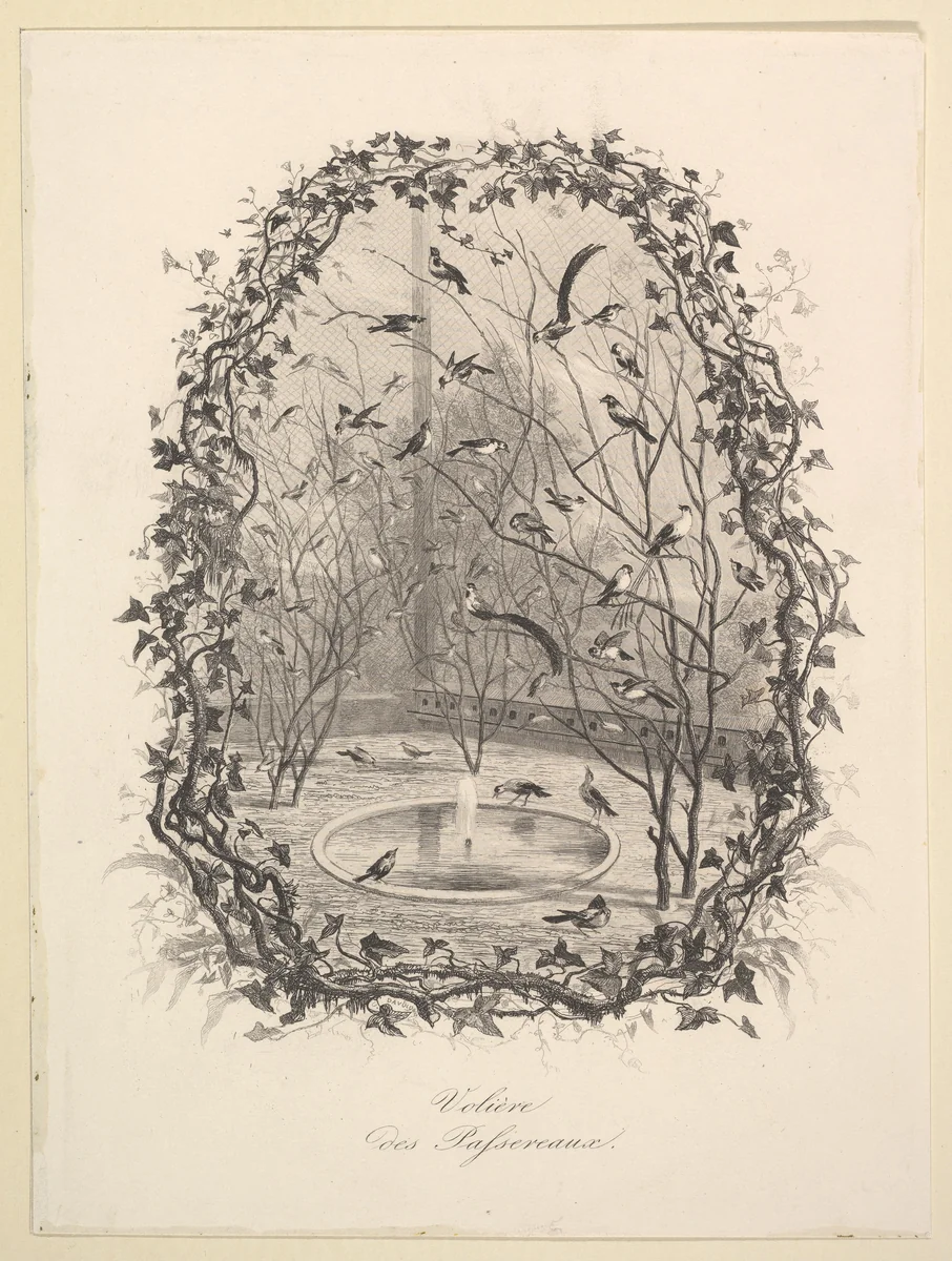 The Sparrow Aviary by Charles-François Daubigny, print, 1843