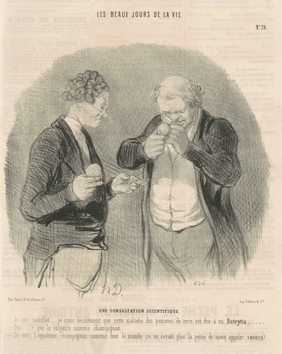 Une consultation scientifique by Honoré Daumier, print, 1845