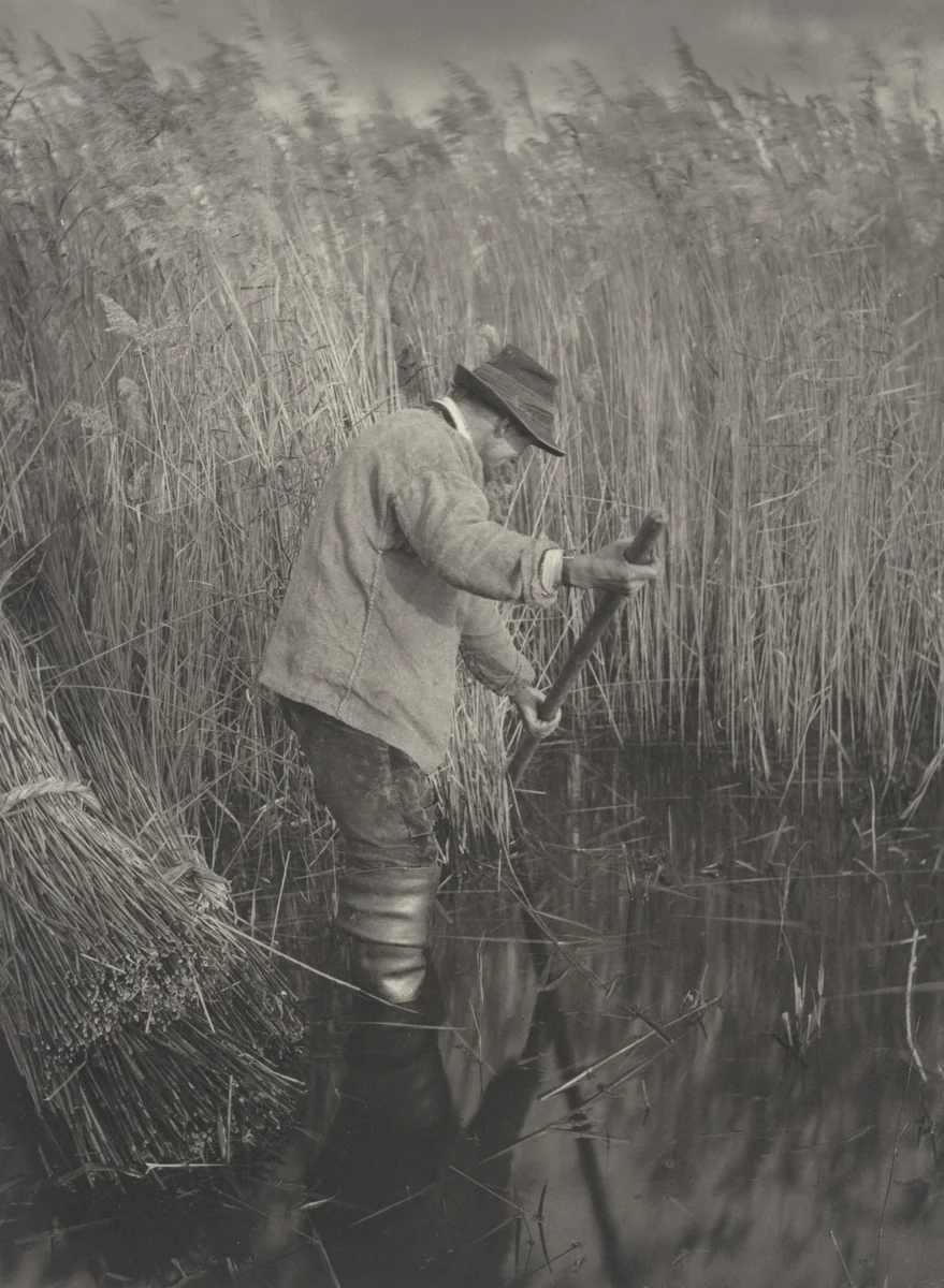 A Reed-Cutter at Work by T. F. Goodall, Peter Henry Emerson, photograph, 1886