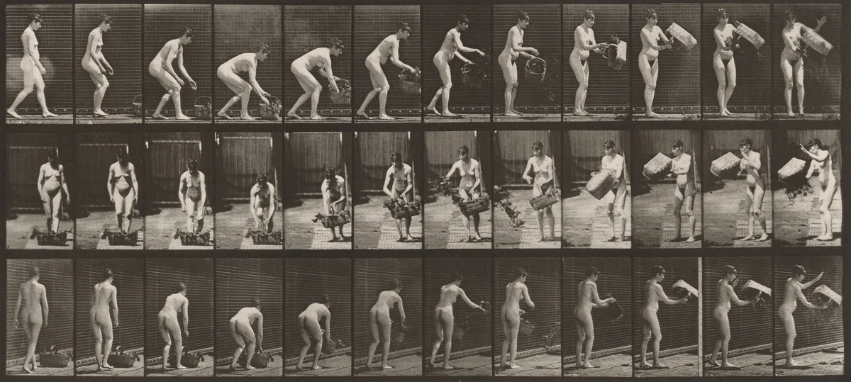 Plate Number 213. Lifting and emptying basket by Eadweard Muybridge, photograph, 1887