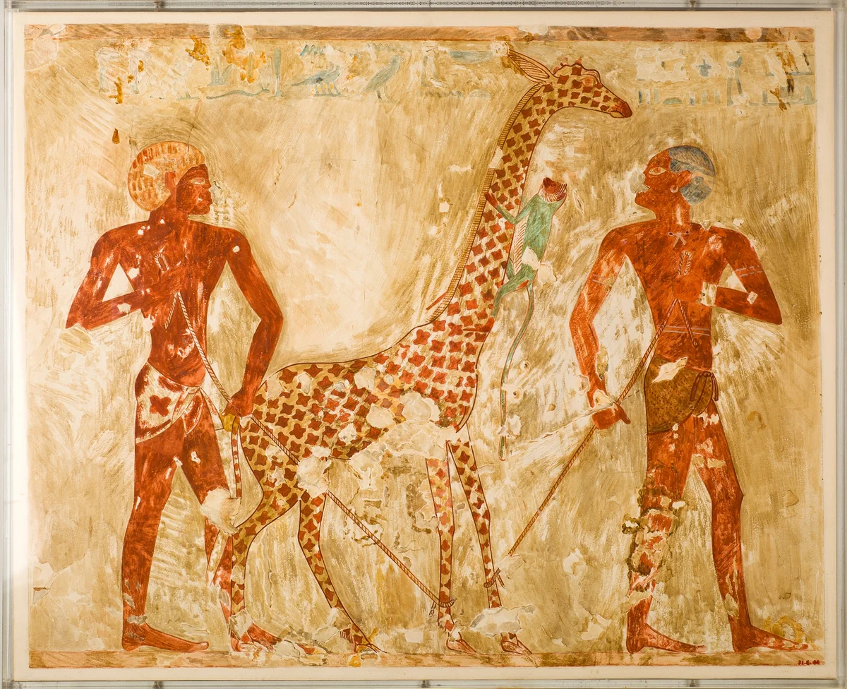 Nubians with a Giraffe and a Monkey, Tomb of Rekhmire by Nina de Garis Davies, artwork, -1504
