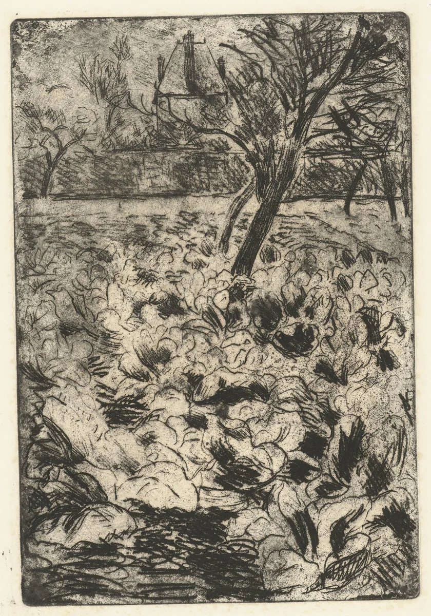 Het knollenveld by Camille Pissarro, print, 1878-1880