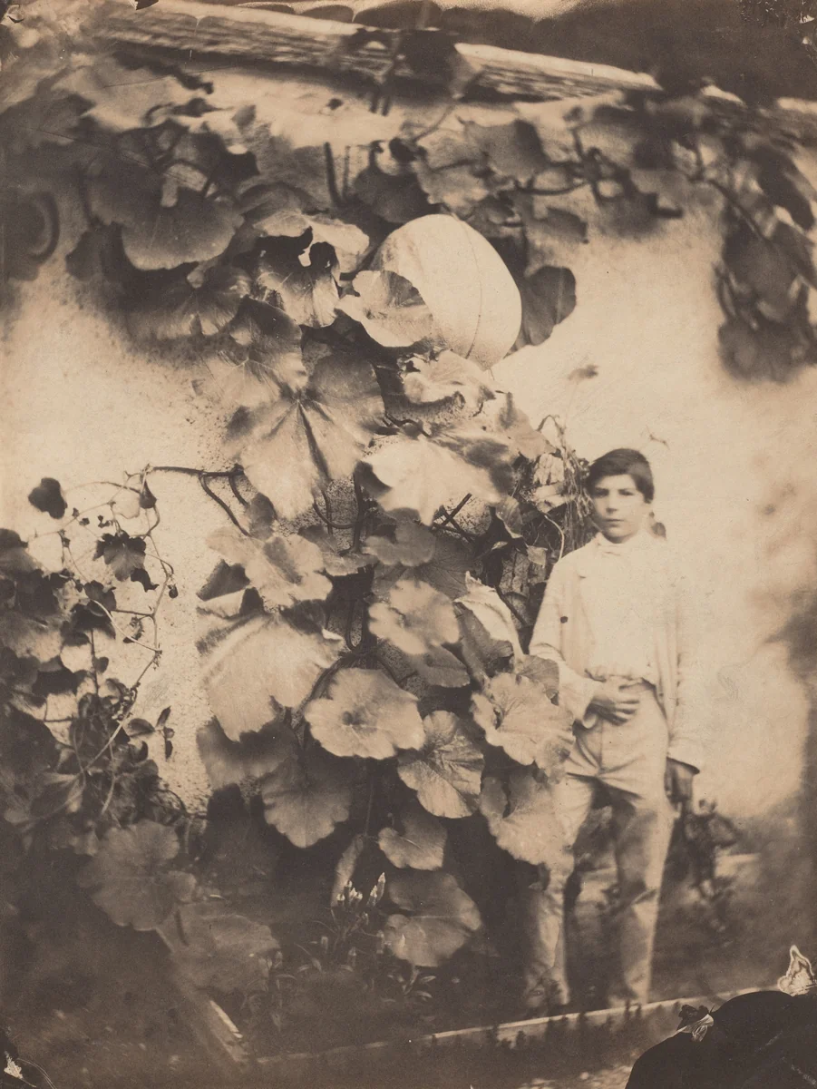 Boy with a Pumpkin Vine by Varin Frères, photograph, 1854
