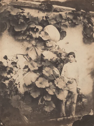 Boy with a Pumpkin Vine by Varin Frères, photograph, 1854