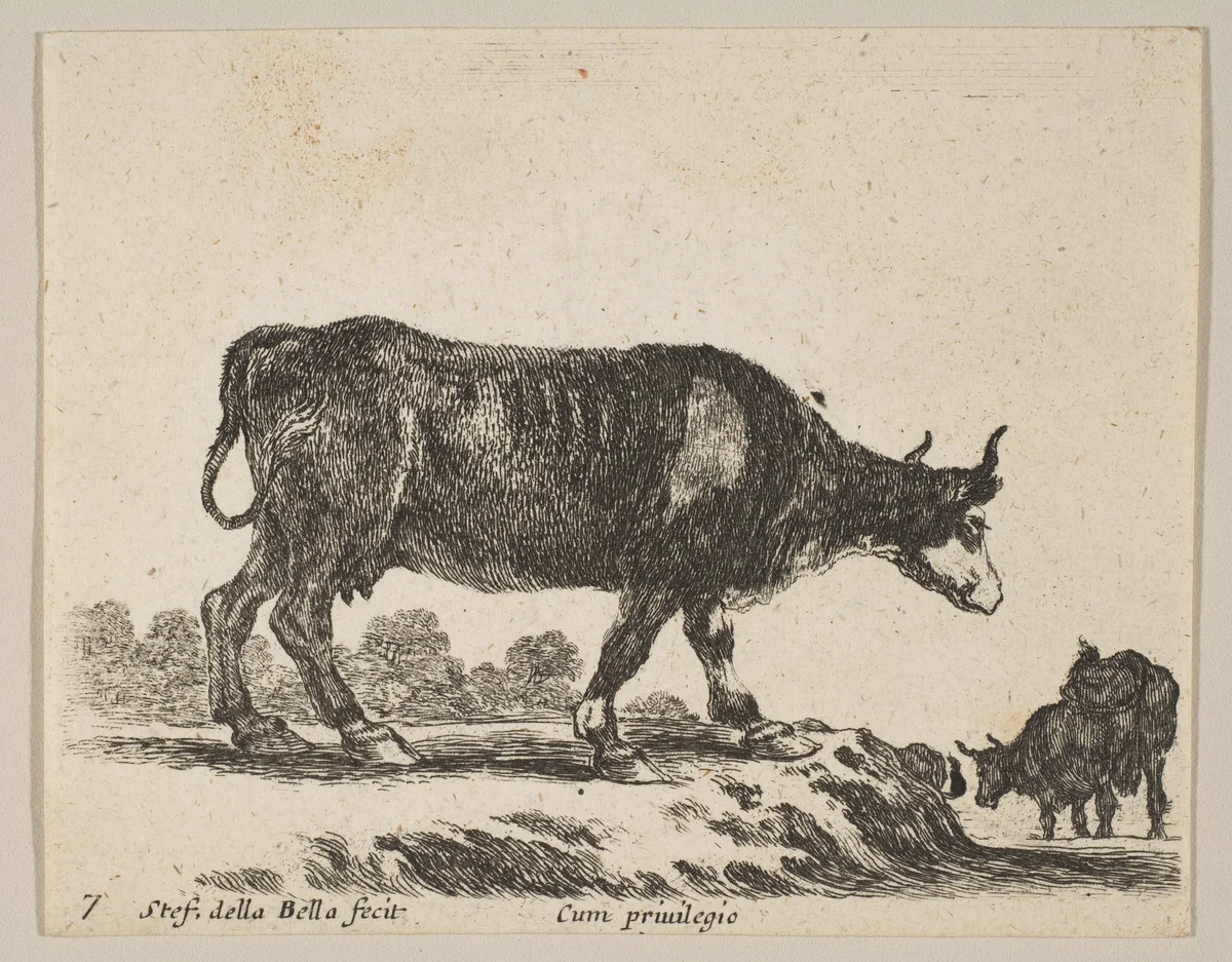 Plate 7: Cow, from "Various animals" (Diversi animali) by Stefano della Bella, print, 1636-1646