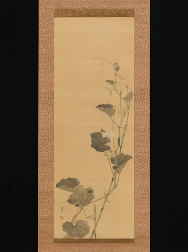 Calabash Flowers and Beetle by Maruyama Ōshin, painting, 1800-1838