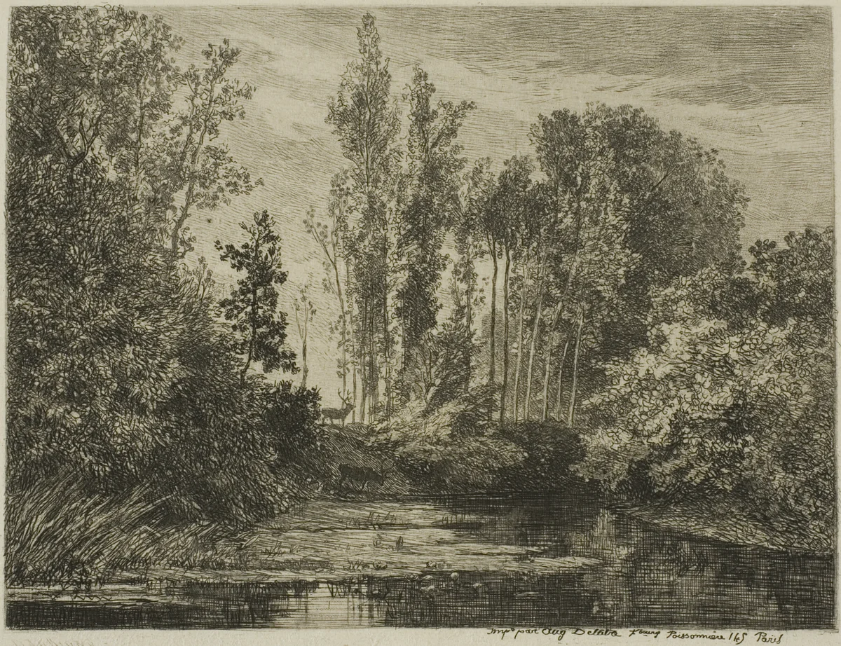 Stags at the Water's Edge by Charles-François Daubigny, print, 1850