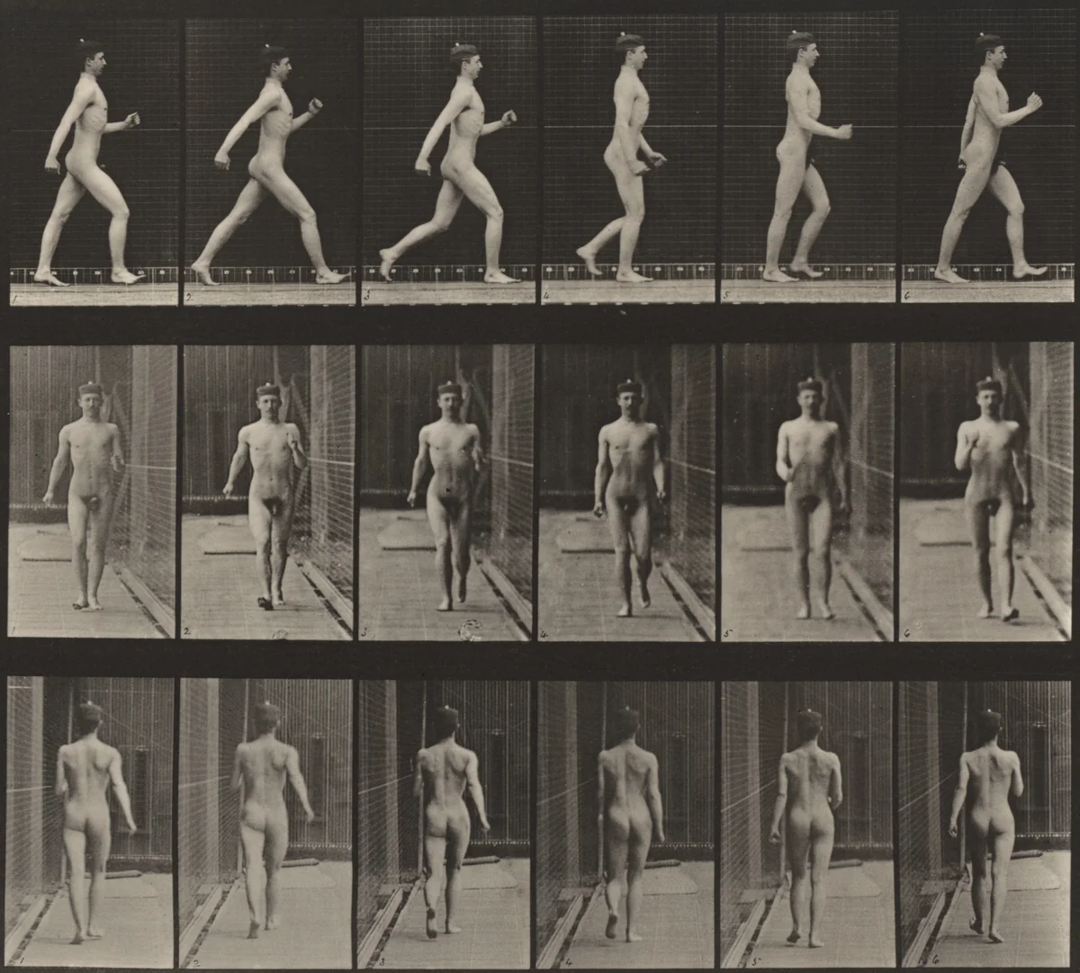 Plate Number 10. Walking by Eadweard Muybridge, photograph, 1887