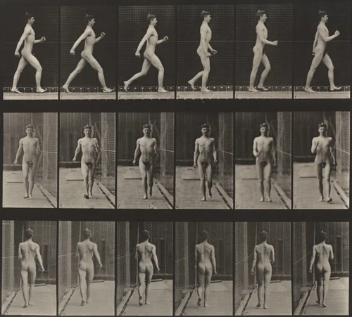 Plate Number 10. Walking by Eadweard Muybridge, photograph, 1887