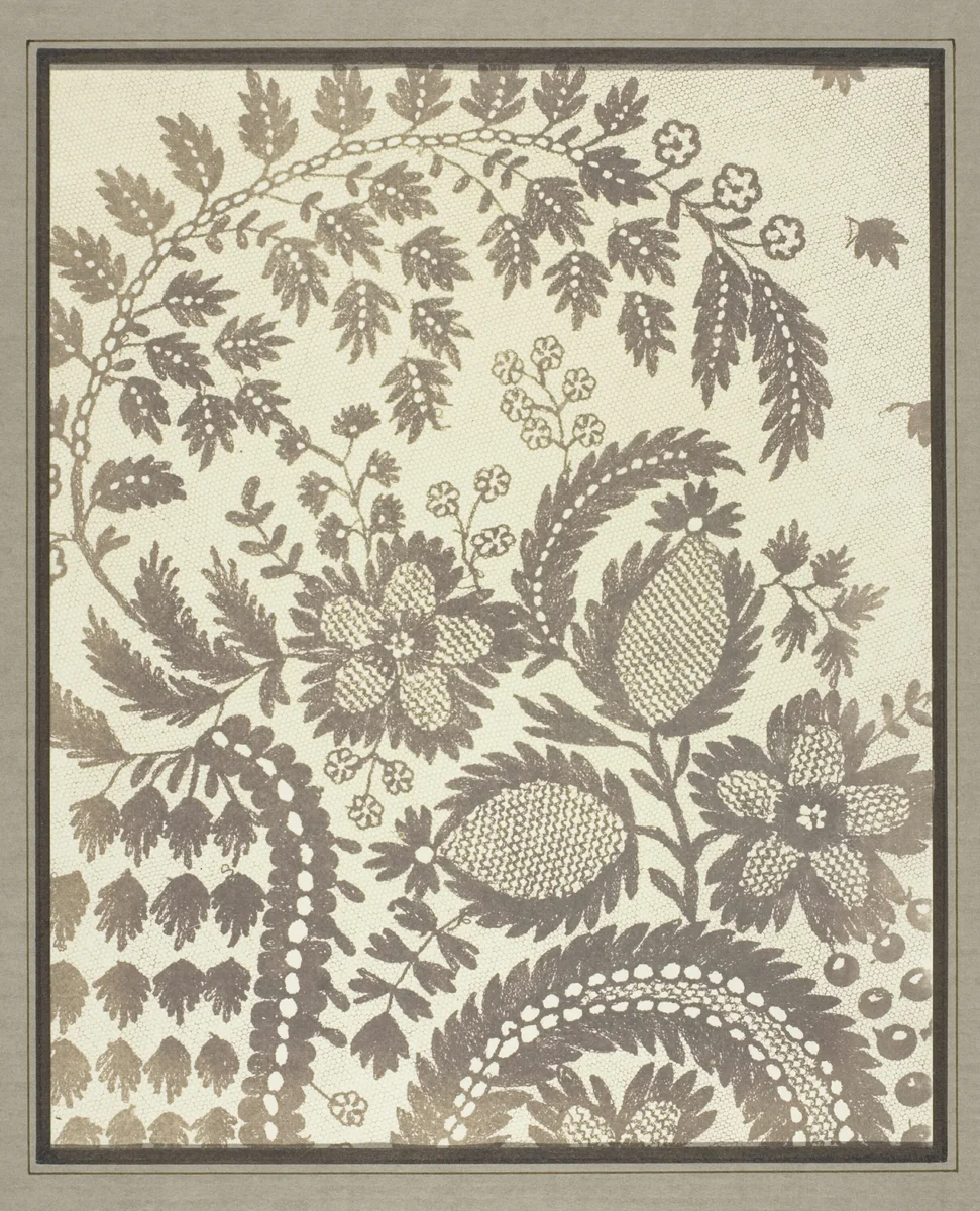 Lace by William Henry Fox Talbot, photograph, 1844-1845