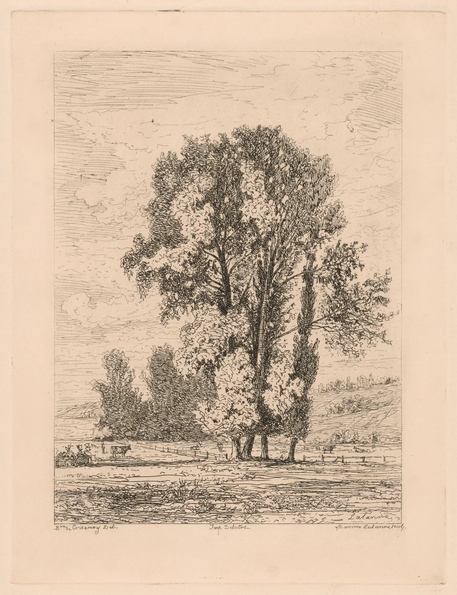 Landscape with Clump of Four Trees by Maxime Lalanne, print, 1880-1886